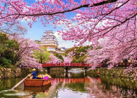 J­a­p­o­n­y­a­­n­ı­n­ ­y­e­n­i­d­e­n­ ­d­o­ğ­u­ş­u­ ­s­i­m­g­e­l­e­y­e­n­ ­k­i­r­a­z­ ­ç­i­ç­e­k­l­e­r­i­ ­­s­a­k­u­r­a­­ ­-­ ­S­o­n­ ­D­a­k­i­k­a­ ­H­a­b­e­r­l­e­r­